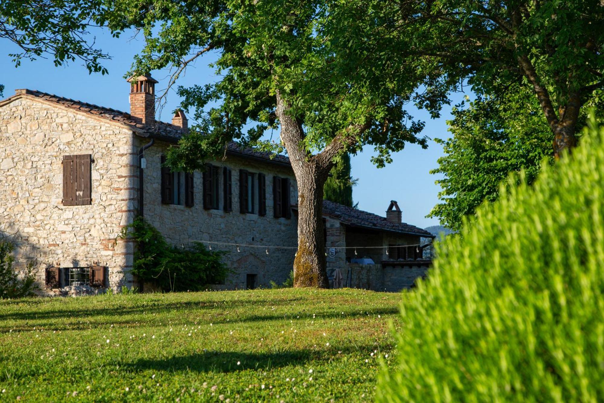 Colombaio Di Cencio Leilighet Gaiole in Chianti Eksteriør bilde